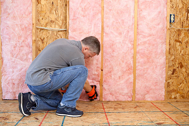 Best Insulation Installation Services in Vaiden, MS